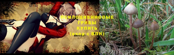 спиды Бугульма