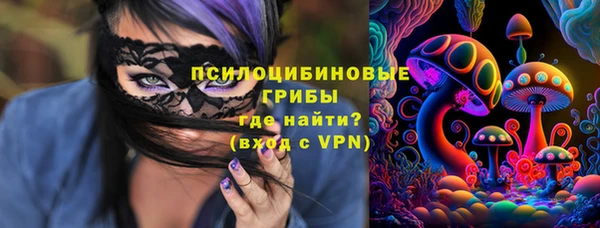 ГАЛЛЮЦИНОГЕННЫЕ ГРИБЫ Володарск