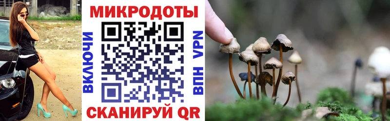 где можно купить   Ипатово  Галлюциногенные грибы мицелий 